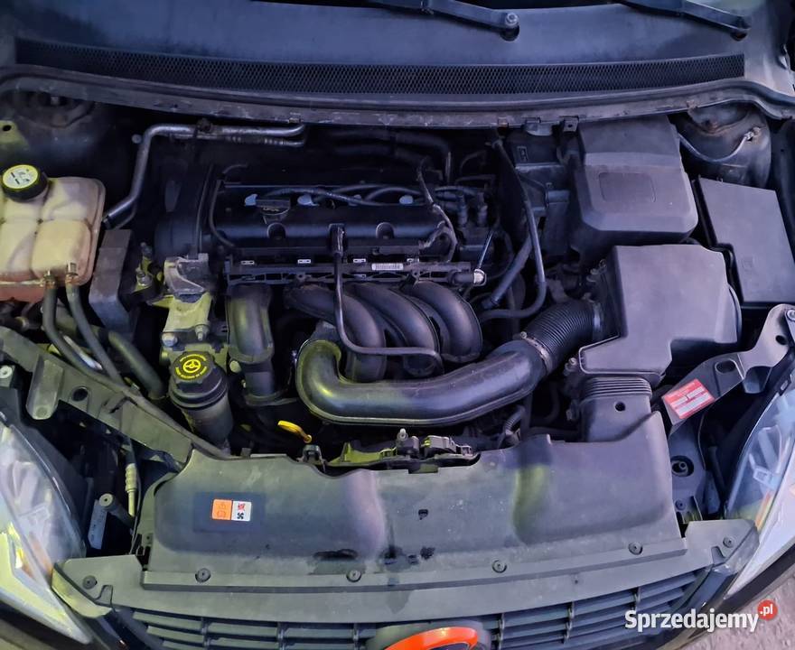 Ford Focus 16 16vpoliftsuper stan z Niemiec Focus Krosno