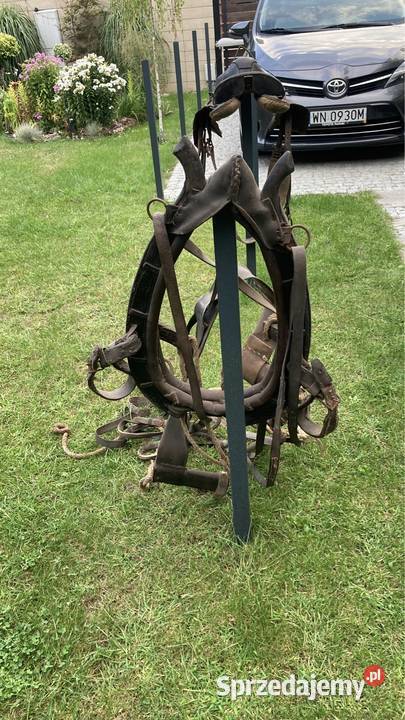 Jarzmo chomąto konia Warszawa