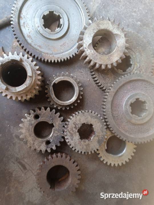 Koła zębate Rozne Krasnystaw