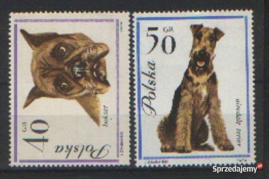 Zn Fi 1228 9 1963 śląskie sprzedam