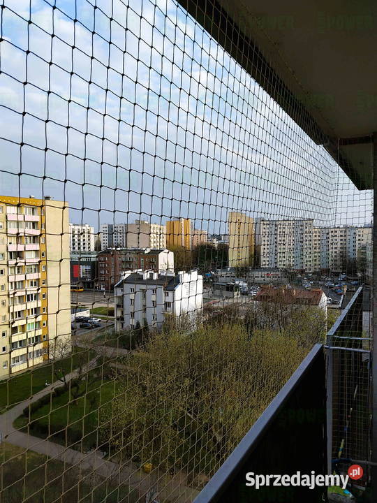 Założenie siatki przeciw ptakom Warszawa Siatka Pozostałe usługa dla zwierząt