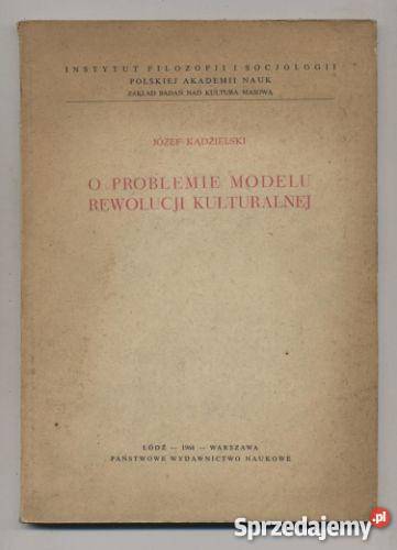O problemie modelu rewolucji kulturalnej