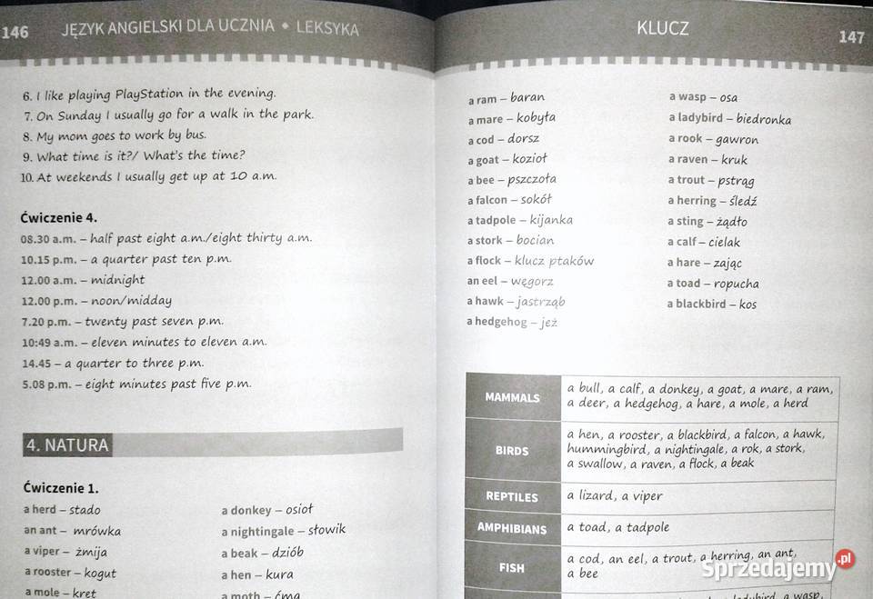 Język angielski ucznia Leksyka Joanna lubelskie Chełm