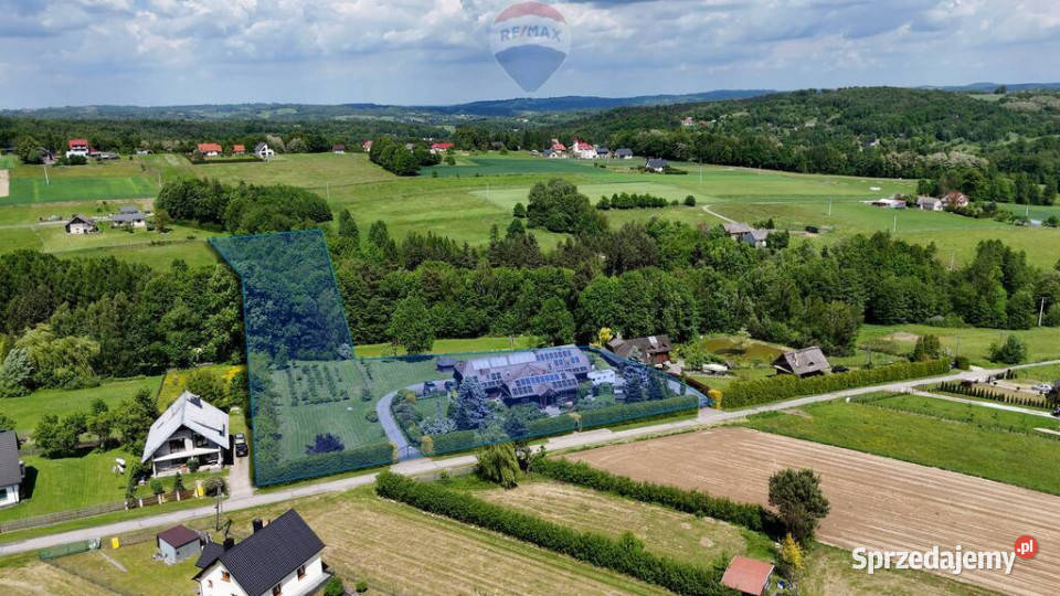 Dom pensjonatowyTwój gotowy biznes blacha Sprzedaż Borówna