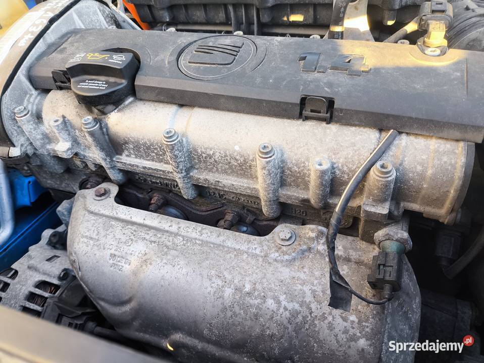 Seat Ibiza 14 MPI Benzyna 5 Drzwi 2009r Klima Chełm