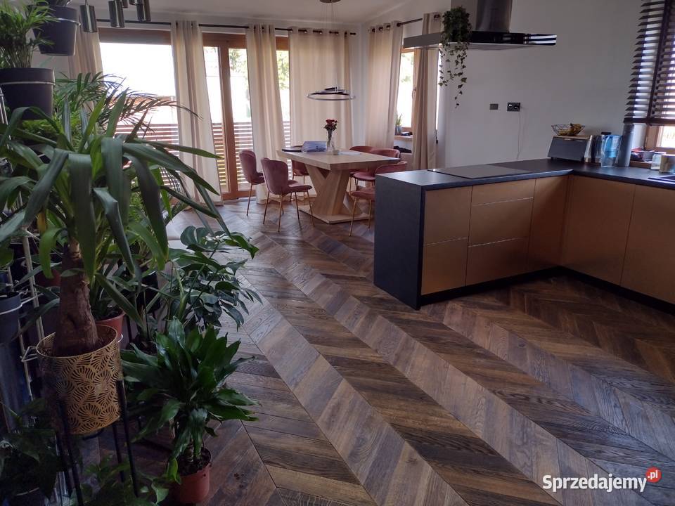 Jodła francuska Deski podłogowe Lublin