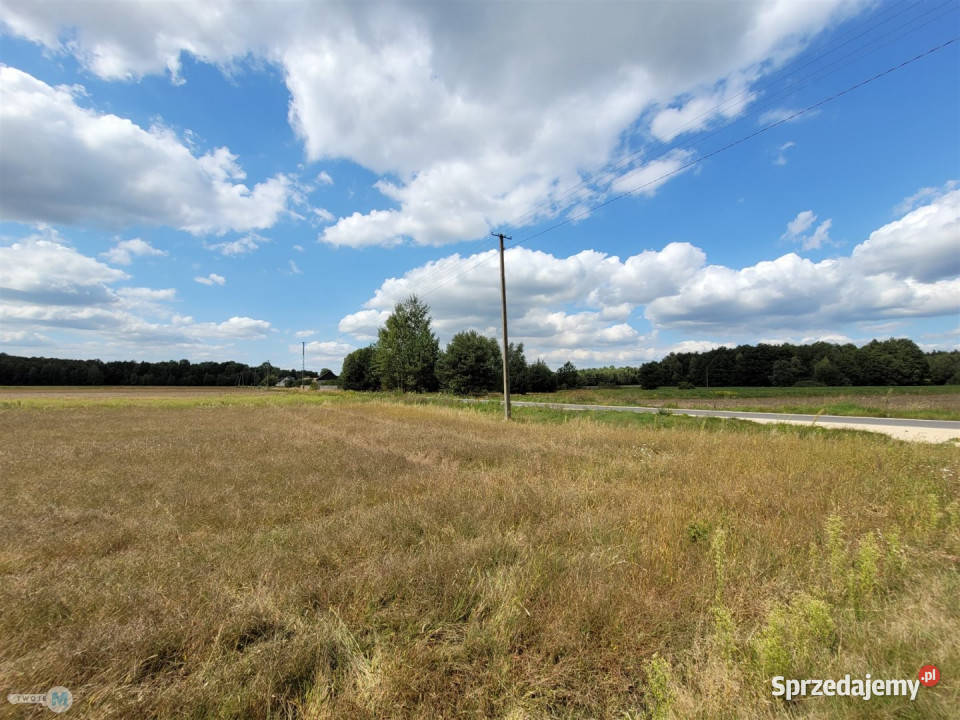 Sprzedaż gruntu 8000m2 Kluczewsko Sprzedaż
