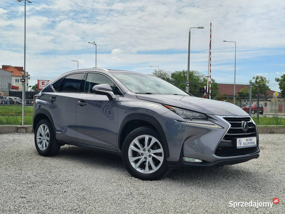 Lexus NX Navi 2xPDC Kamera 360 przyciemniane szyby Wągrowiec