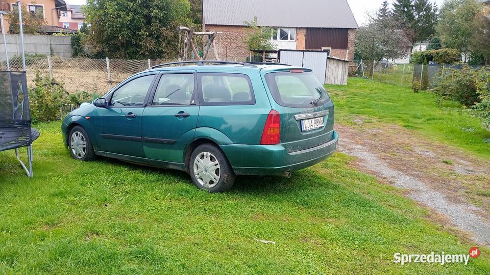 Ford Focus zielony Focus Polichna
