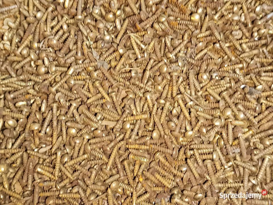 Wkręty małe nowe Przeworno