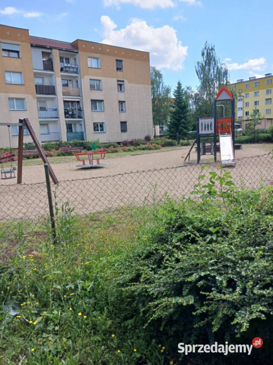 sprzedam mieszkanie Wronki Borek