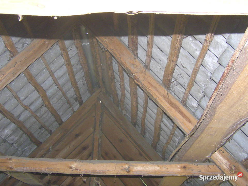 Dom z bala do przeniesienia Holendry sprzedam