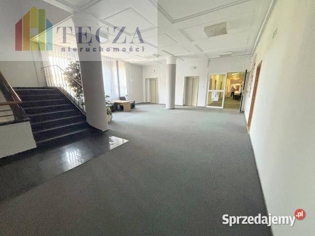 wynajmu lokalu 2354m2 Warszawa Świętokrzyska 235.4m2