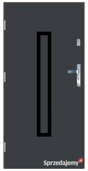 Drzwi wejściowe do domu Zewnętrzne GA10 BLACK Ciemniewo