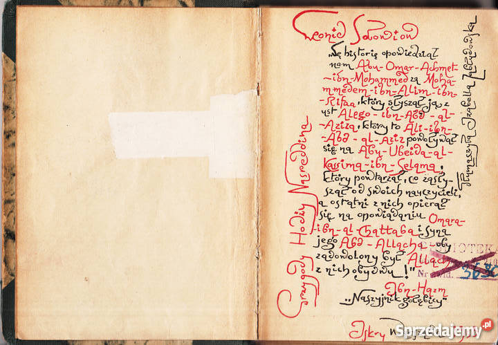 03223 PRZYGODU HODŻY NASREDDINA LEONID SAŁAWIOW Czyrna