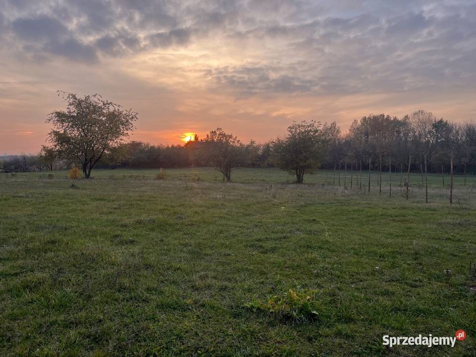 Działka budowlana 1000m 27x37 Strykowska Opolska 1000m2 Sprzedaż Łódź