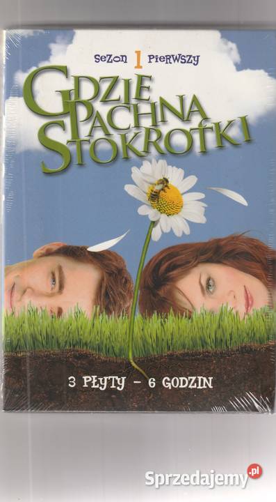 GDZIE PACHNĄ STOKROTKI SEZON 1 BOX 3DVD napisy Pruszków