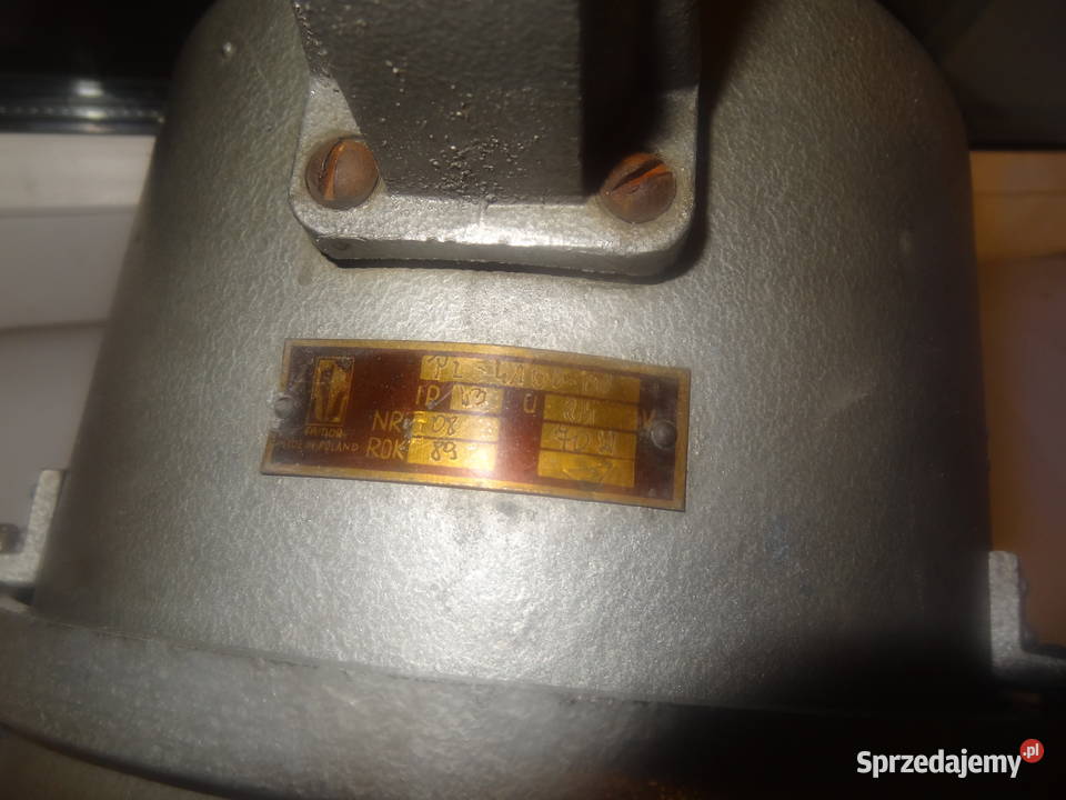 Szperacz Reflektor wielkopolskie