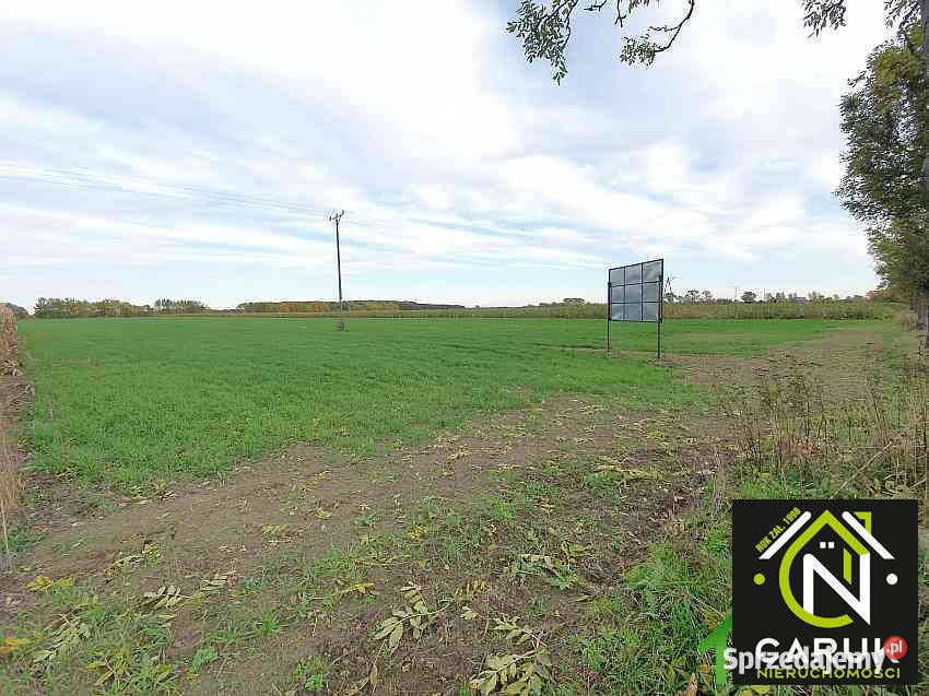 Ziemia do sprzedania 6500 metrów Dziwnówek 317m