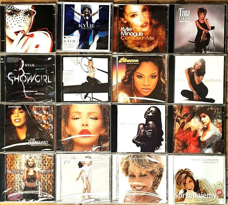 Wspaniały Album CD CELINE DION A Day Has Come CD Płyty i kasety Chorzów