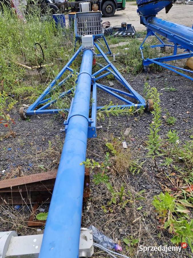 Żmijka Kwaska Rolnicza Deszczno