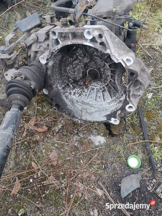 Skrzynia biegów skoda octavia Czerwionka-Leszczyny