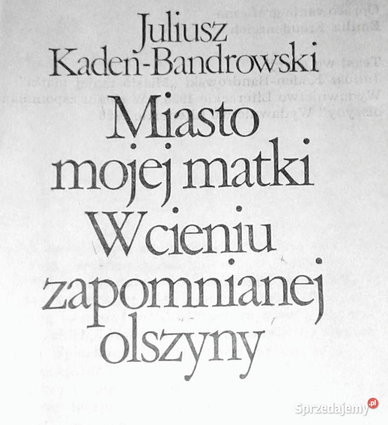 Miasto mojej matki W cieniu zapomnianej olszyny lubelskie Chełm
