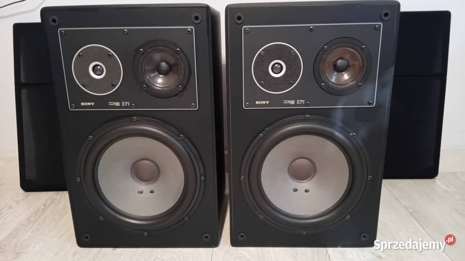 Kolumny Sony SSE 71 Leszno