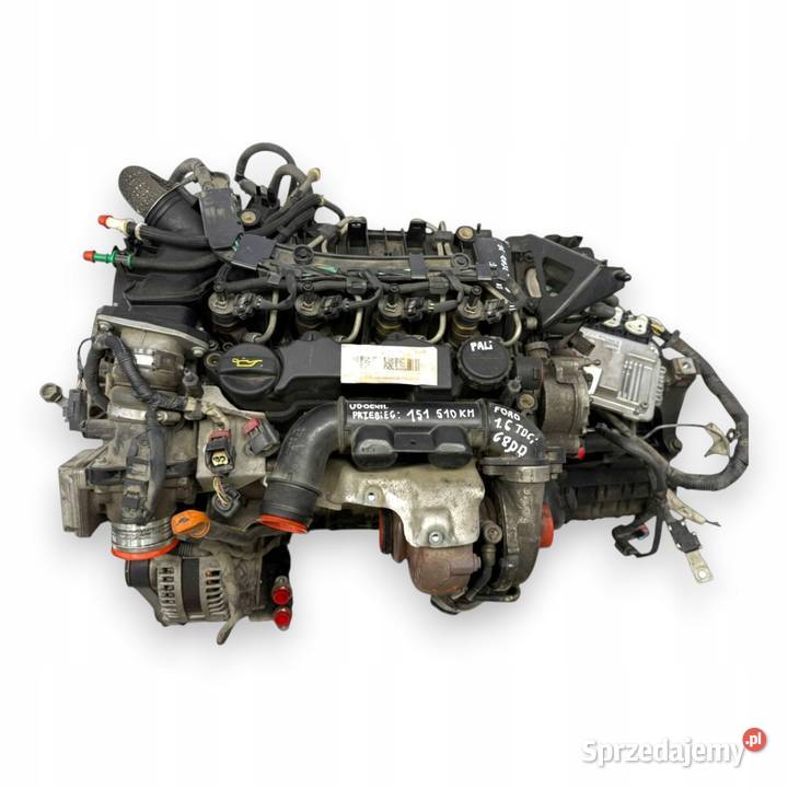 SILNIK G8DD Ford Focus II MK2 C C 16 TDCI 109 Chełm