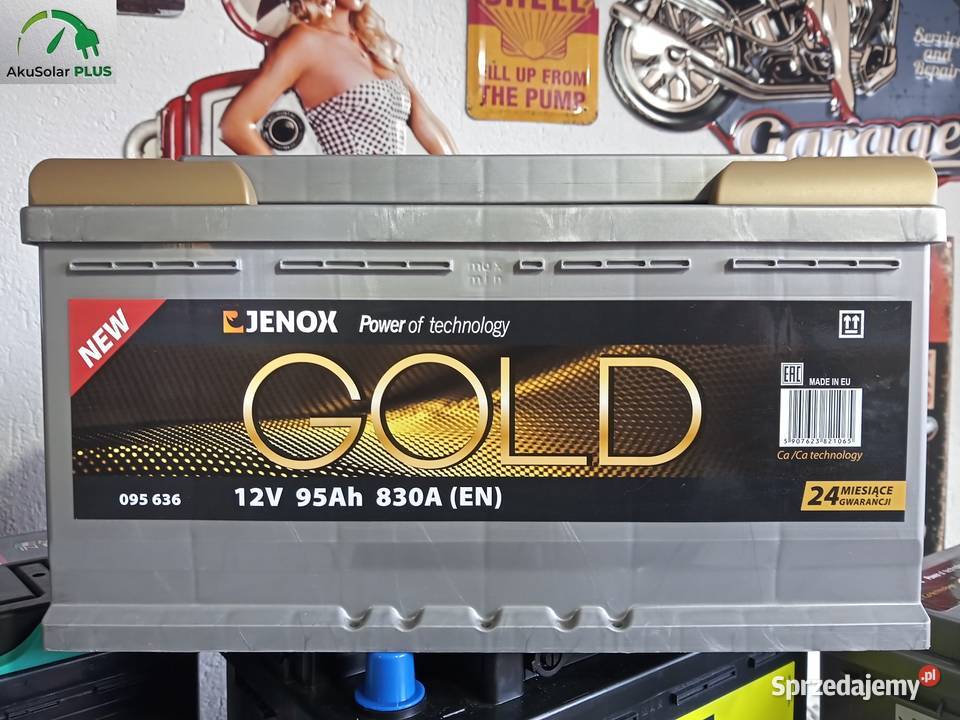 Akumulator 95Ah 830A P Jenox Gold Częstochowa