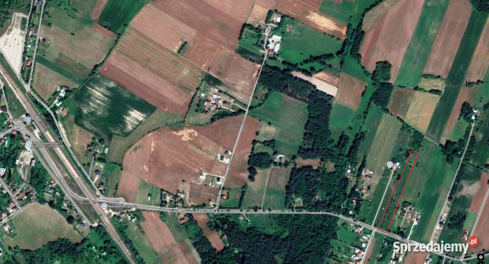 Sprzedam działkę 9243m2 Gąsocin 60 Warszawy mazowieckie Koźniewo Średnie