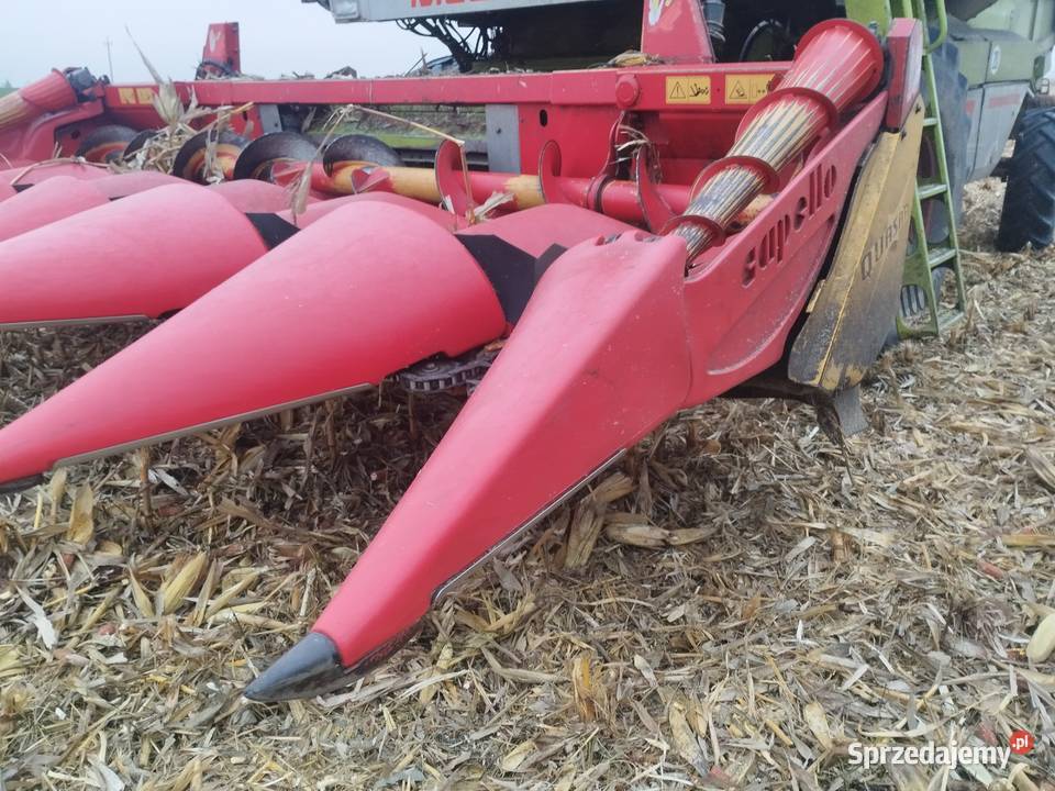Przystawka do kukurydzy Capello quasar R6 Konin