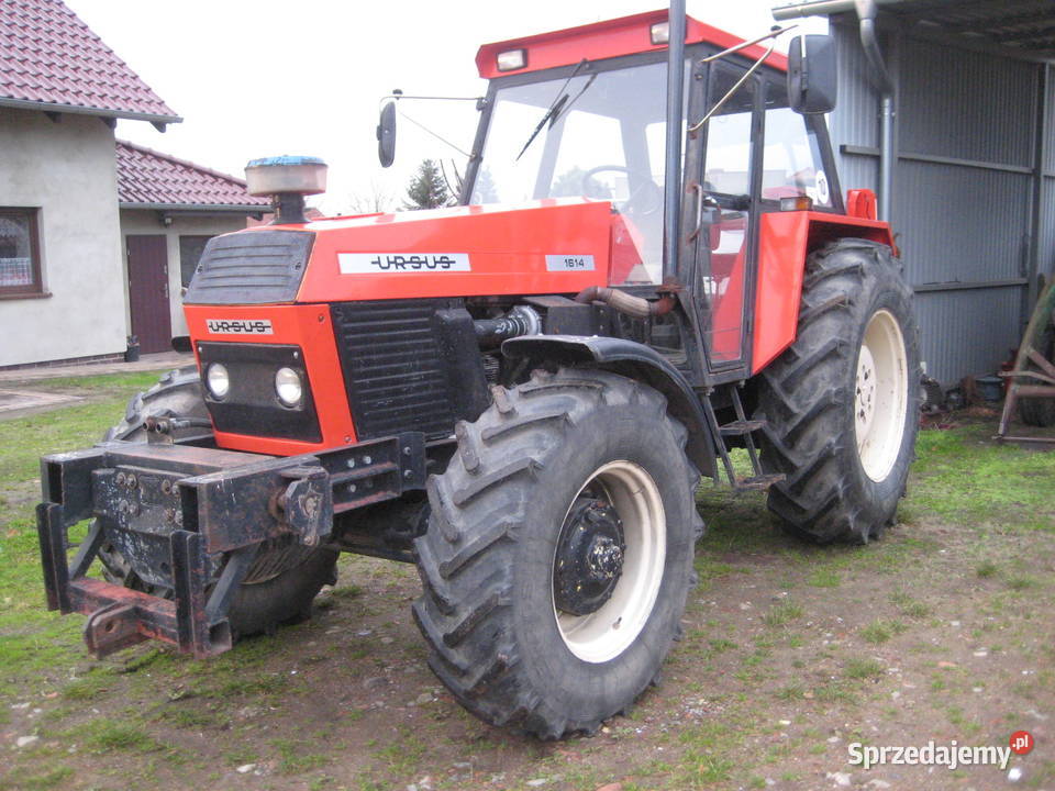 Ciągnik Ursus 1640 Turbo Zetor 8441 PROXIMA wielkopolskie Śmigiel