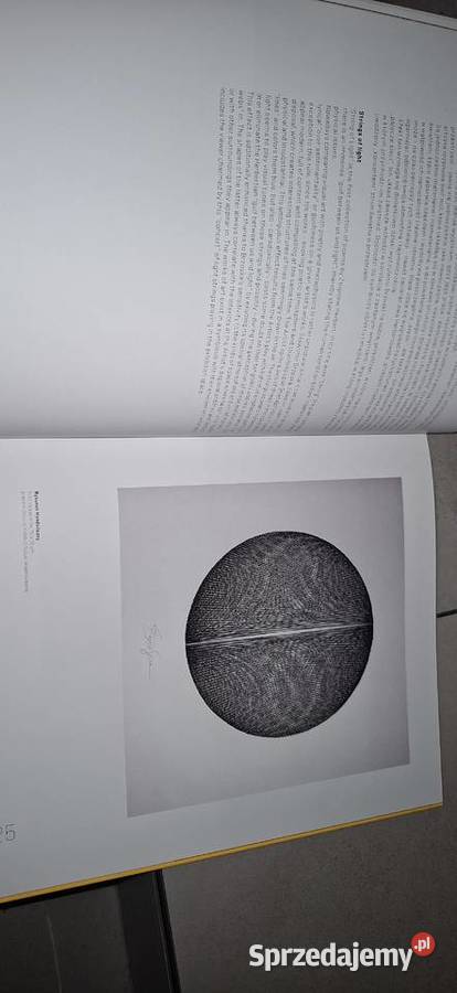 Visual Interview 01 Dictionary of Artists Poznań Swarzędz