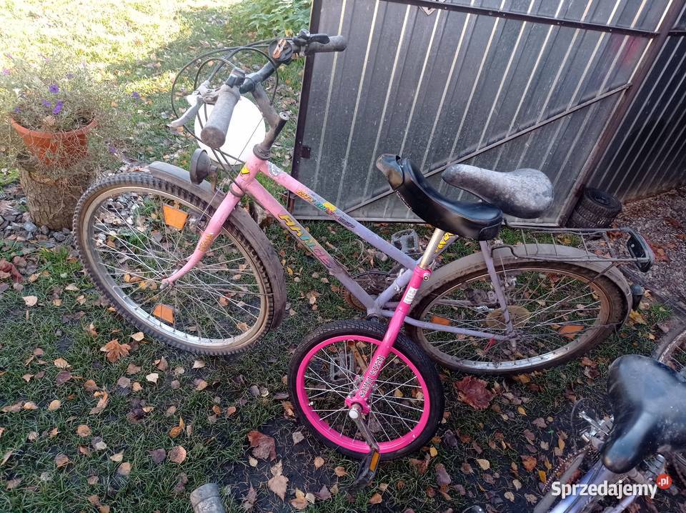 Pakiet Rowerów z Niemiec Góral Damka Męski