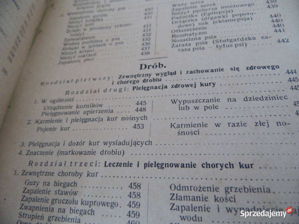 Zwierzęta domowe Poradnik przedwojenny wydania wielkopolskie Radzewice