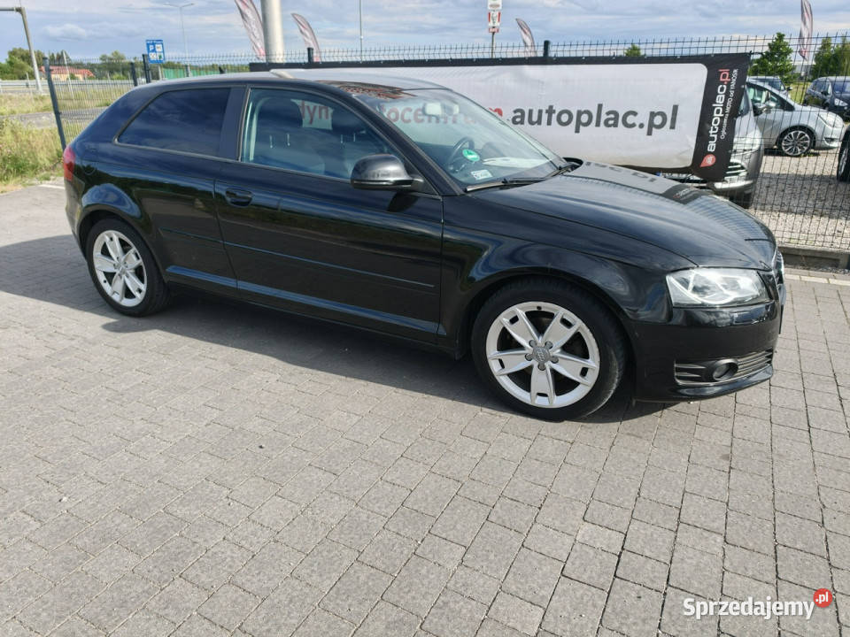 Audi A3 Sportback nowy 8P 20032012 Lipówki