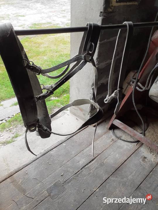 Uprzaz konia Stary Gózd