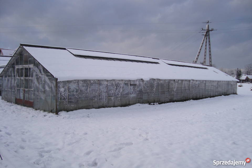 Szklarnie do rozbiórki 330 m2 Pozostałe Bochnia