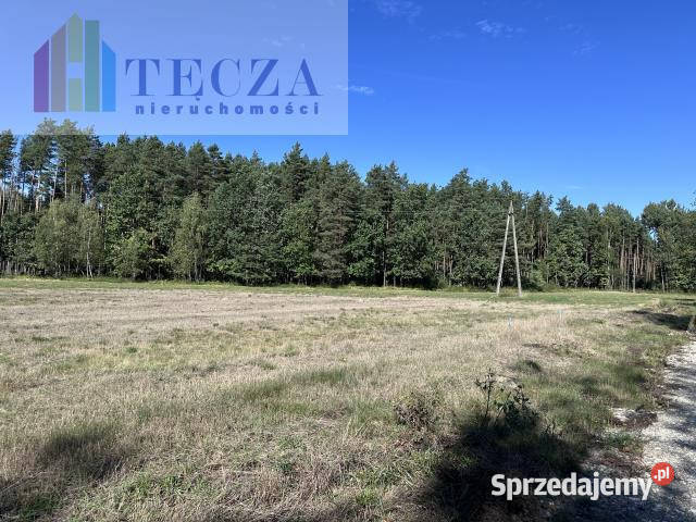 Sprzedaż działki Borucza 1800m2 utwardzona