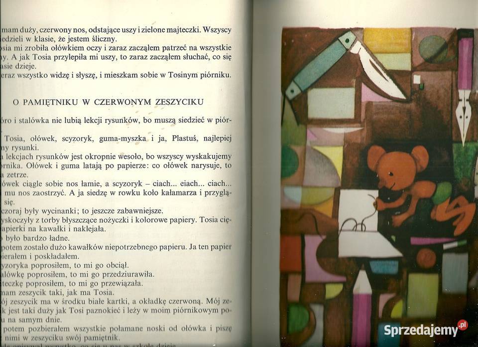 Plastusiowy pamiętnik Maria Kownacka pamiętnik Książki dla dzieci