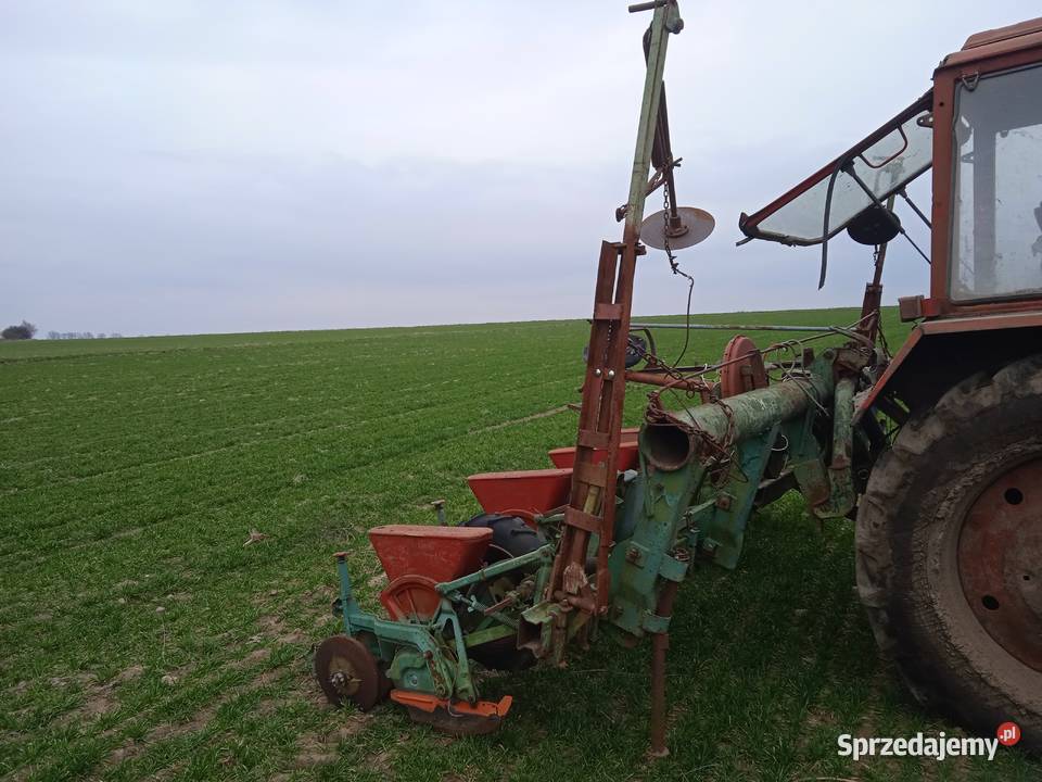 Siewnik do kukurydzy 6 rzędowy Nodet Pneumasem 2 Szynkielów