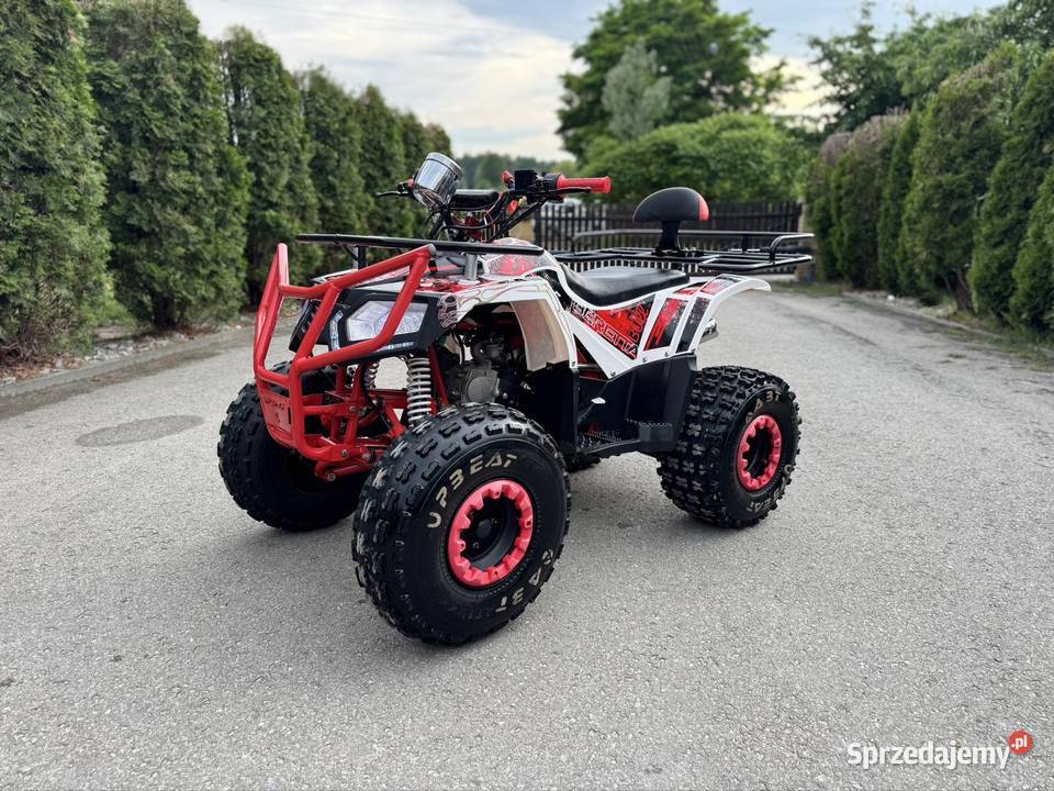 Quad Beretta 125 11 wsteczny mocna rama Koła 8 Rok produkcji 2020 Kolbuszowa sprzedam