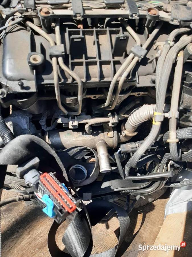 Sprzedam uszk kompletny silnik 16 tdci hdi Liw