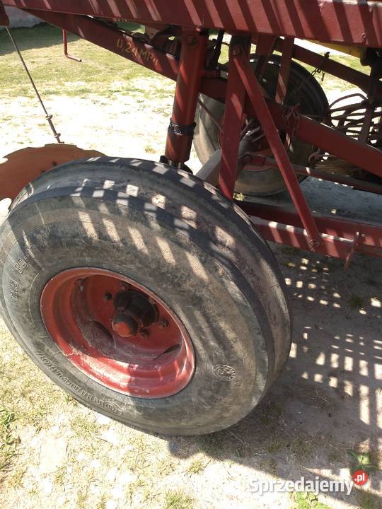 Neptun z 413 Żelechów