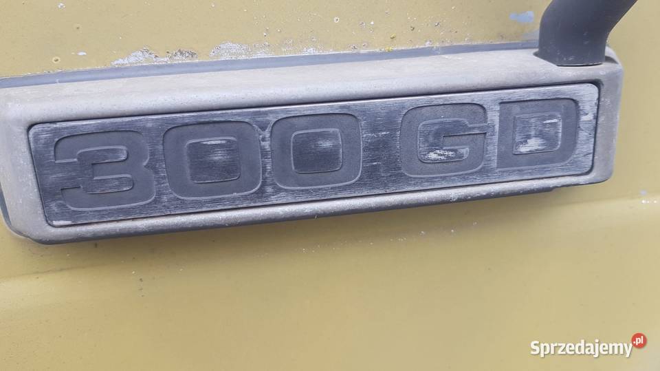 Mercedes G W460 300D lubuskie