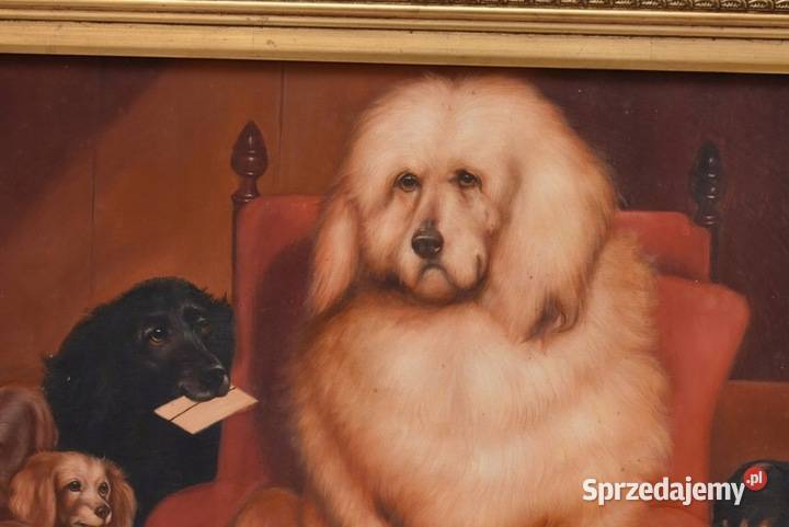 Śmieszne Psy Pies Pies Nauczyciel Złota Rama sprzedam