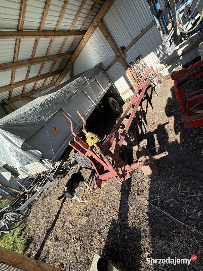 pługi 5 skibowe nieuszkodzony Przeorsk sprzedam