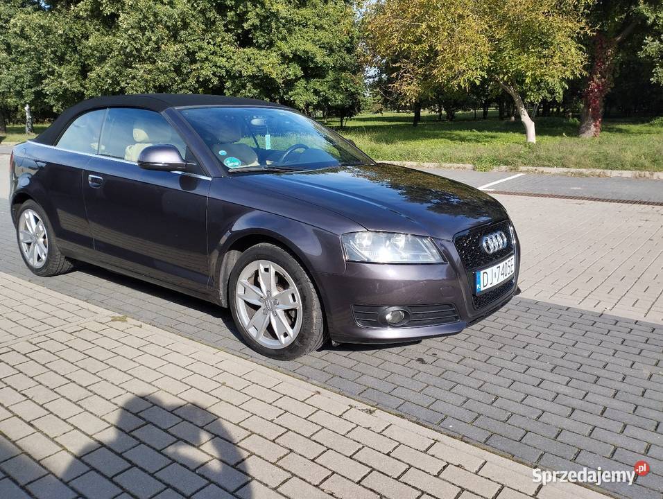 Audi A3 Cabrio 19 TDI 105 Cabriolet Wołów sprzedam