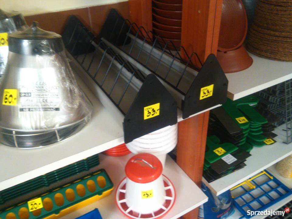 sklep wszystko gołębi papug kanarków i kur Przyszowice